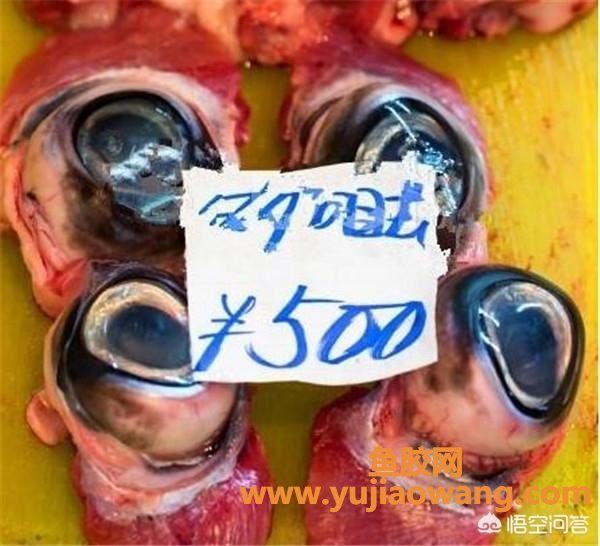 金枪鱼胶原蛋白作用怎样服用(怎样补充胶原蛋白？胶原蛋白软糖合适吗