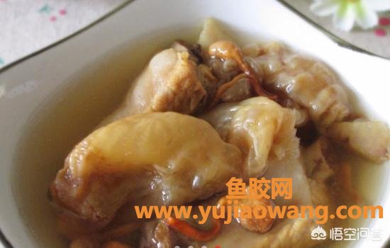 鱼胶跟猪脚怎么炖(鱼胶炖猪蹄怎么做？)