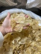 鱼胶冬瓜骨头汤要炖多久(冬瓜排骨炖多长时间好？)
