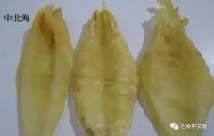 鱼胶为什么生黑虫(农村菜园种的豆角，有小黑虫子，这是什么害