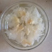 优质蛋白质食物 燕窝 鱼胶(高蛋白低脂肪的食物有哪些？)