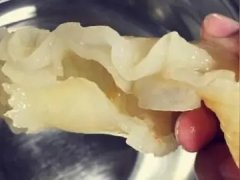 炖鱼胶用药当归还是甜当归(海参花胶炖汤可以放当归吗？)