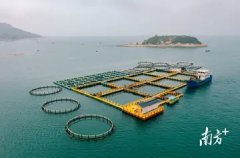刚做完子宫肌瘤手术能吃鱼胶吗(子宫肌瘤开腹手术后恢复中可以