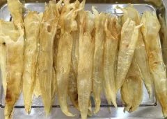 女人怀孕了可以吃鱼胶吗(怀孕可以吃花胶吗？)
