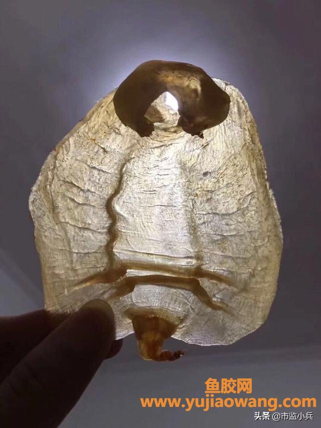 怎么样看鱼胶好坏(鱼胶和花胶是一种东西么,怎么去区分好坏?) 怎么样看鱼胶好坏(鱼胶和花胶是一种东西么,怎么去区分好坏?)