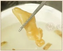 鱼胶晚上可以吃吗(鱼胶早上吃好还是晚上吃好？)