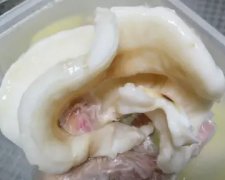 排骨炖鱼胶虫草花(姬松茸、花胶、山药、虫草花适合一起煲汤吗