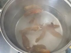 鲮鱼鱼胶制作要点(鲮鱼怎么做好吃？)