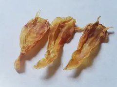 精纯鱼胶原蛋白多肽好吗(为什么说鱼胶原蛋白可以祛斑？)