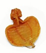 瘦肉鱼胶汤上火吗(花胶煲里的什么食材能促使孩子长高？)