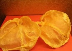 孕中期适合吃鱼胶还是海参(孕期血糖高可以吃花胶、燕窝、海参