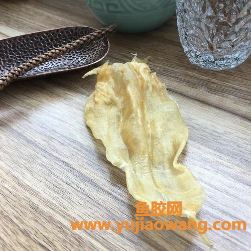 鱼胶的功效和作用(鱼胶的功效和作用鱼胶煲什么好)