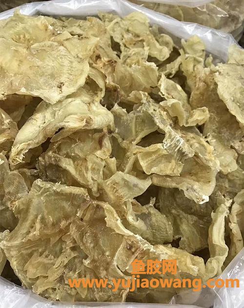 中国最大的生产鱼胶的厂家 中国最大的生产鱼胶的厂家