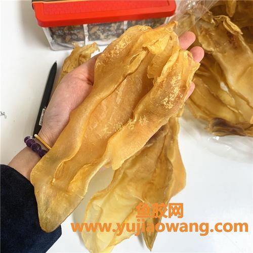 豆仁胶和北海鱼胶哪种好(北海和豆仁鱼胶哪个好)