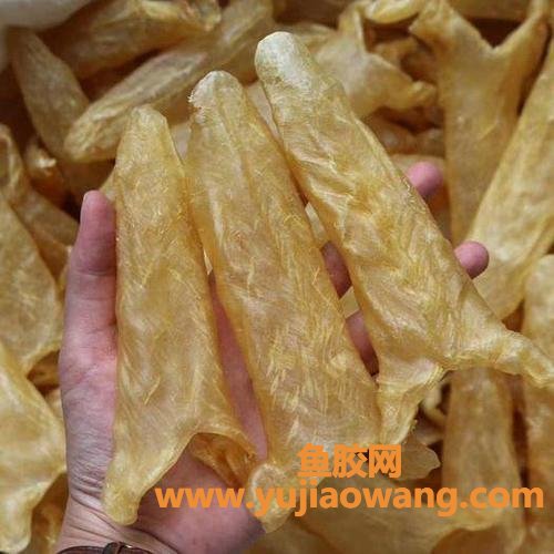 干鱼胶怎么处理(新鲜鱼胶怎么处理) 干鱼胶怎么处理(新鲜鱼胶怎么处理)
