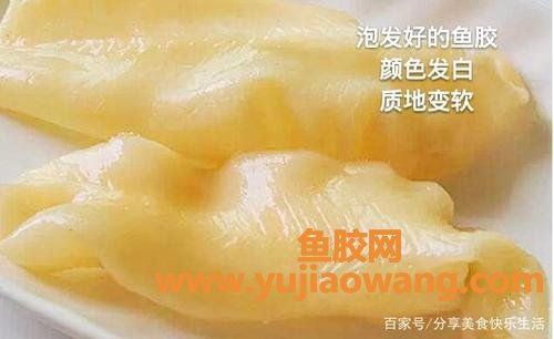 鱼胶怎样泡发最好(干鱼胶怎样泡发最好)