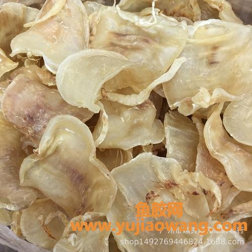 草鱼的鱼胶有什么营养(鱼胶吃了有什么营养)