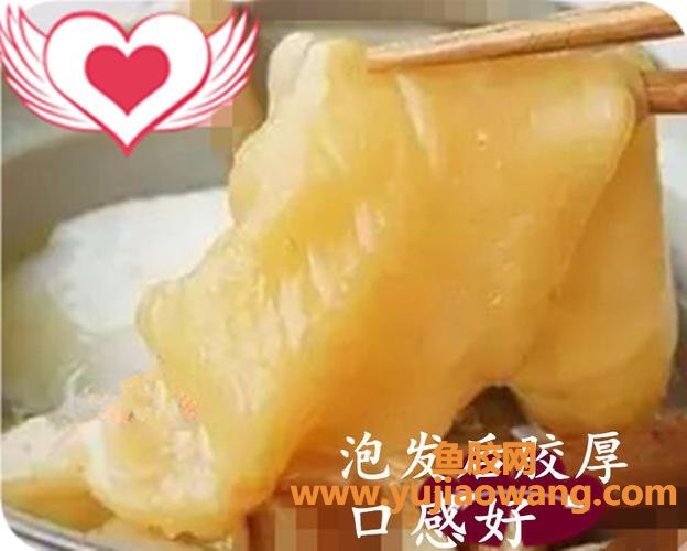 花胶的泡发方法和时间(花胶怎么泡发方法) 花胶的泡发方法和时间(花胶怎么泡发方法)