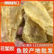 鱼胶的种类与价钱大全(鱼胶种类及图片大全)