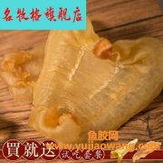 赤嘴鱼胶价格(大口赤嘴鱼胶)