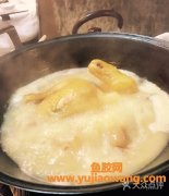 新鲜的鱼胶要怎么煮(新鲜鱼胶煮多久才熟)