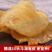 30年斗湖鱼胶要多少钱一斤