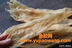 赤鱼胶和赤嘴鱼胶的区别(赤嘴鱼胶和鳘鱼胶)