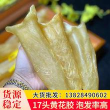 黄花鱼胶好吗(真假黄花鱼胶的鉴别方法)