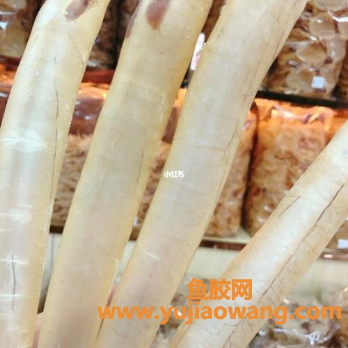 鳗鱼鱼胶3千一斤(鳗鱼鱼胶的功效和作用)