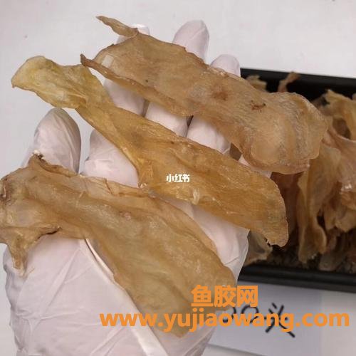 鳕鱼胶没营养的(冰岛鳕鱼胶有没有营养)