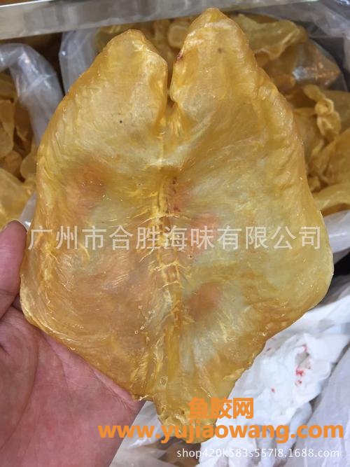 鱼胶的营养成分表(鱼胶营养成分一样吗)