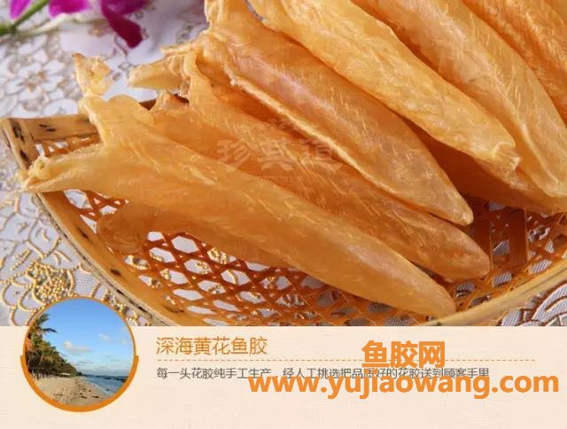 鱼胶的用处(鱼胶油炸过后还有用处吗)
