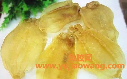 鱼胶的图片大全(鱼胶品种图片大全)