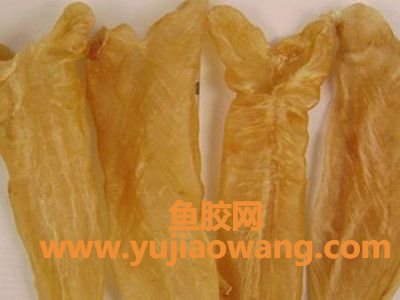 鱼胶的品种及每个品种的功效 鱼胶的品种及每个品种的功效