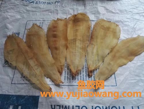 鱼胶的品种与作用大全(全网最全最详细的鱼胶品种大全)