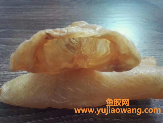 鱼胶的区别(鳝胶和鱼胶的区别)