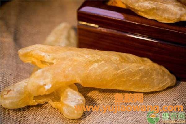 鱼胶和花胶的区别在哪里(桃胶花胶鱼胶的区别) 鱼胶和花胶的区别在哪里(桃胶花胶鱼胶的区别)