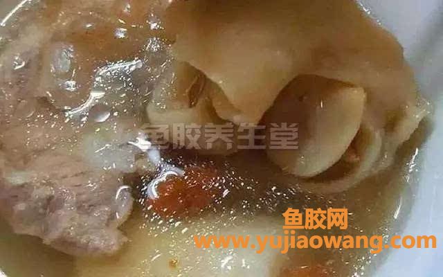 鱼胶养胃还是伤胃(胃不好可以吃鱼胶养胃吗)