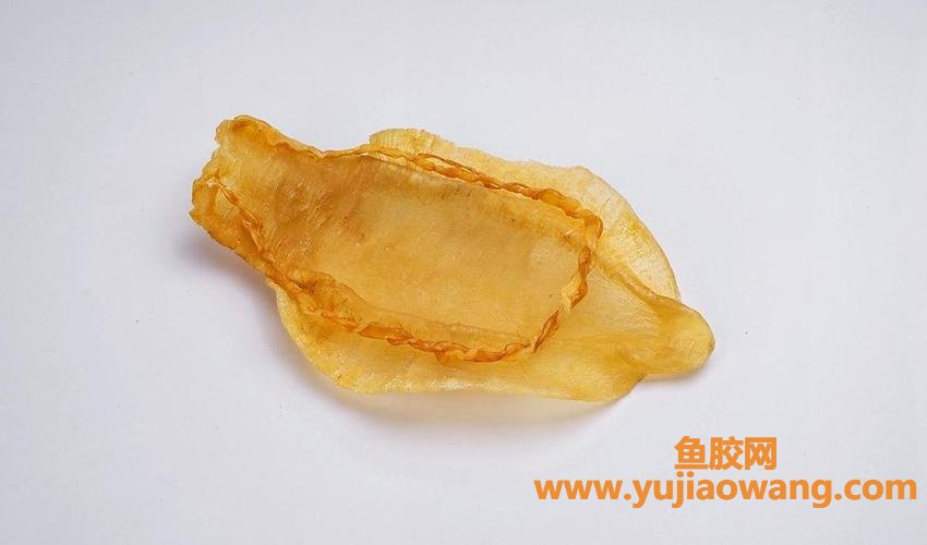 鱼胶什么样(花胶怎样挑选才是好)