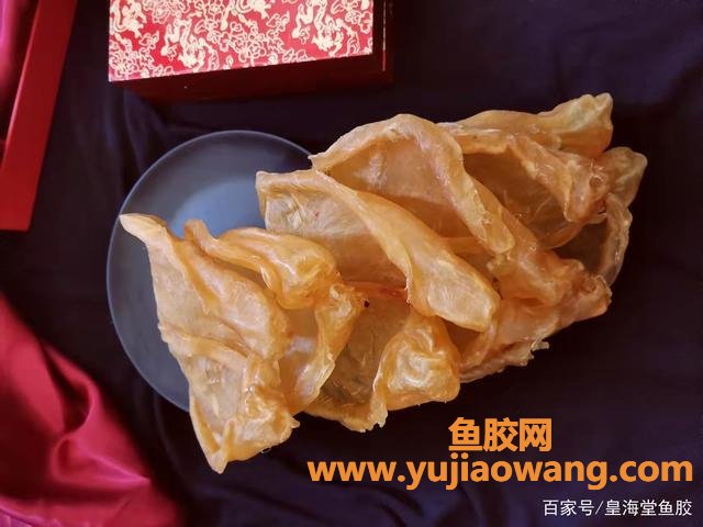 赤嘴鱼胶哪种最好(赤嘴鱼胶哪种最好 月子)