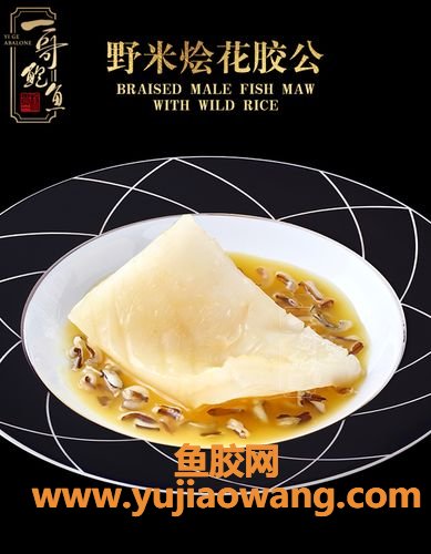 花胶营养价值骗局(新西兰花胶的营养价值及功效)