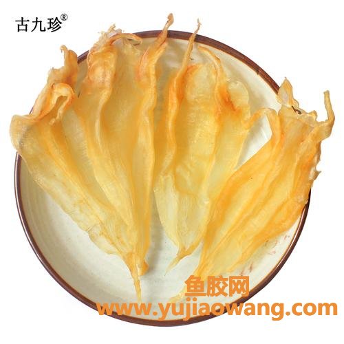 花胶哪个品牌比较好(花胶鸡哪个品牌好吃)