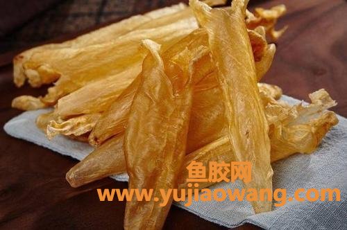 花胶和鱼胶是一样吗(花胶和鱼胶是一样吗)
