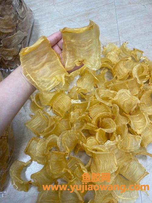 养殖鱼胶营养价值(鱼胶的营养价值和功效)