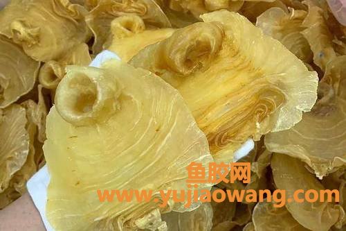 黑鳘鱼胶的功效及吃法(鱼胶的功效及吃法多少钱一斤)