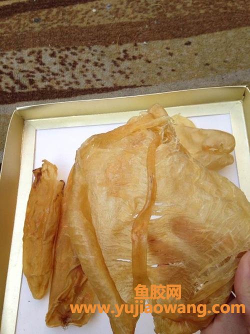 鸭脷鱼胶的功效与作用(米鱼胶的功效和作用)