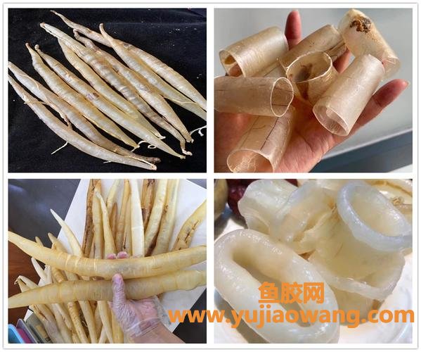 鳗鱼胶哪里产地好(鳗鱼胶哪里产的好)