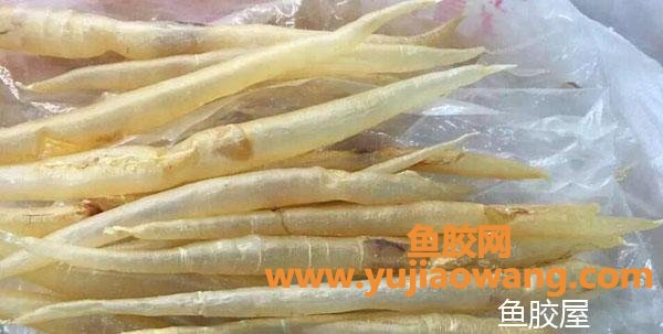 鳗鱼胶什么档次(鳗鱼胶有什么功效)