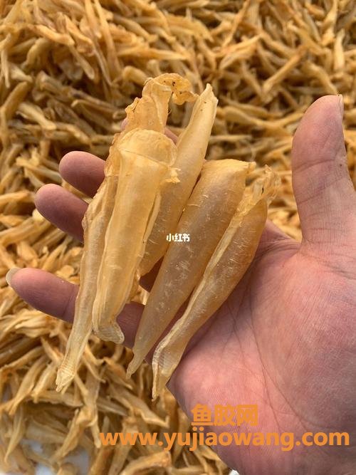 鱼板胶功效与作用(鱼板的功效与作用)