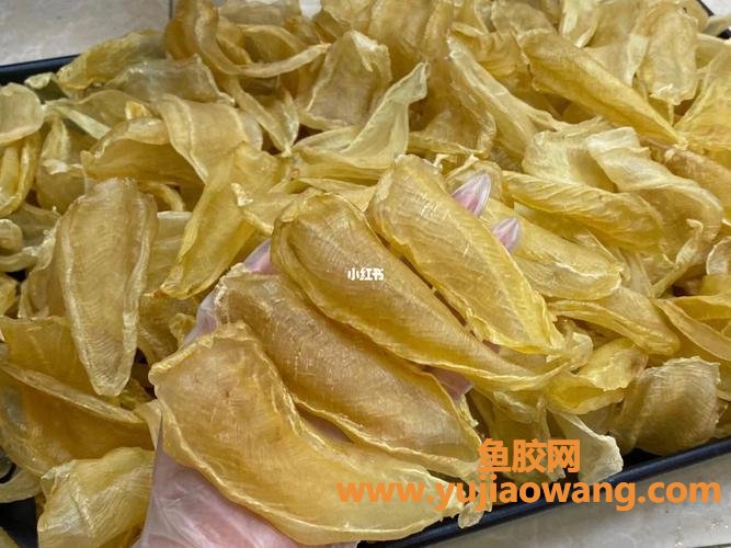 野生白花胶图片(野生白花牛奶树图片)